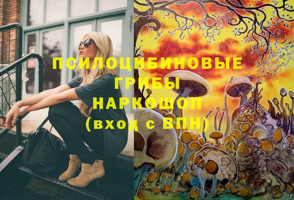 ECSTASY Алексеевка