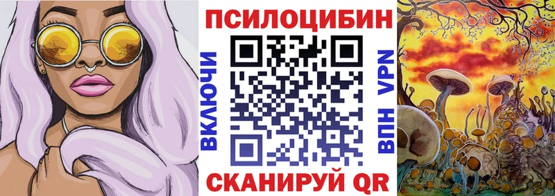 Галлюциногенные грибы Cubensis  где найти   Чернушка 